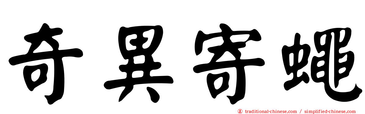 奇異寄蠅