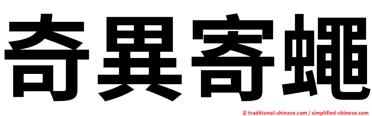 奇異寄蠅