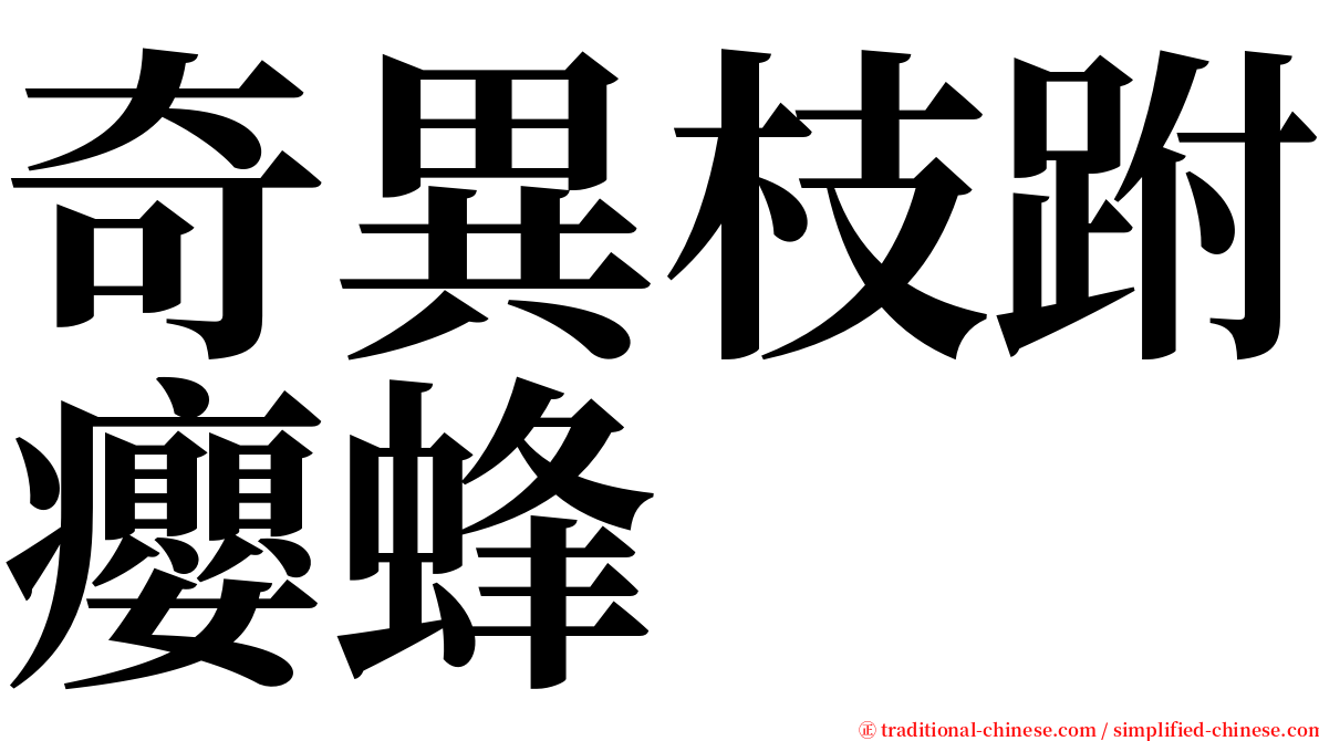 奇異枝跗癭蜂 serif font