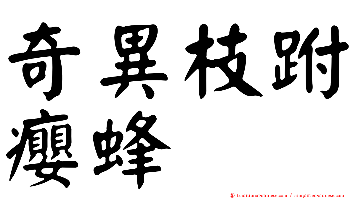奇異枝跗癭蜂