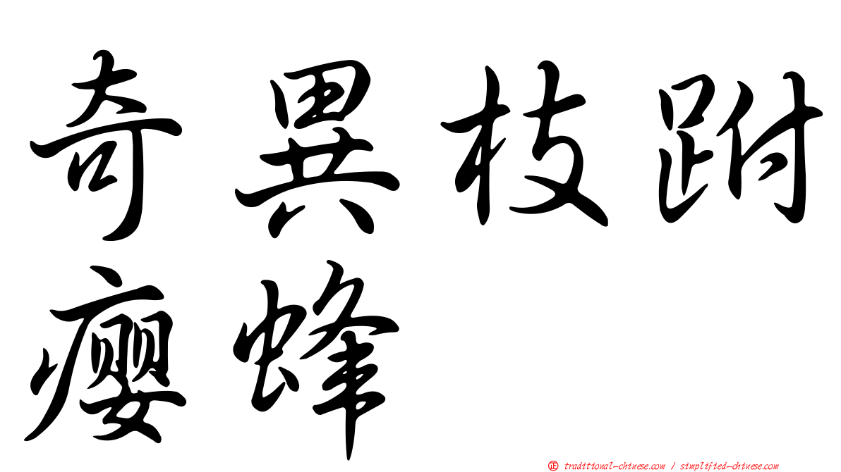 奇異枝跗癭蜂
