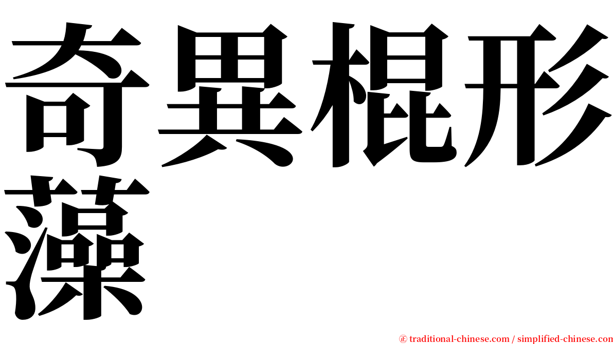 奇異棍形藻 serif font