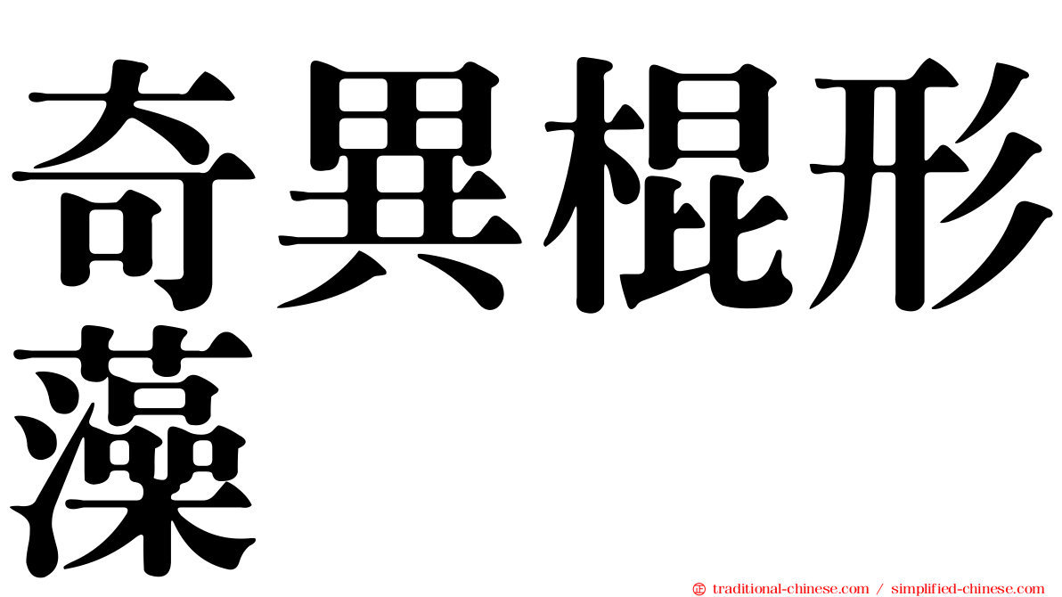 奇異棍形藻
