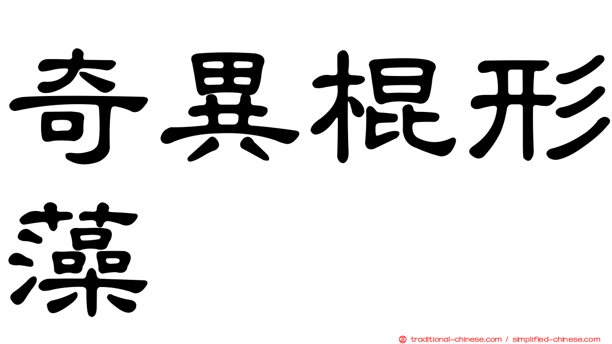 奇異棍形藻