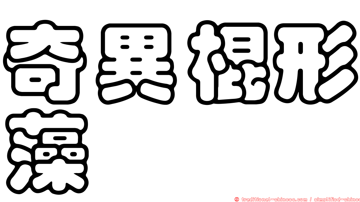奇異棍形藻