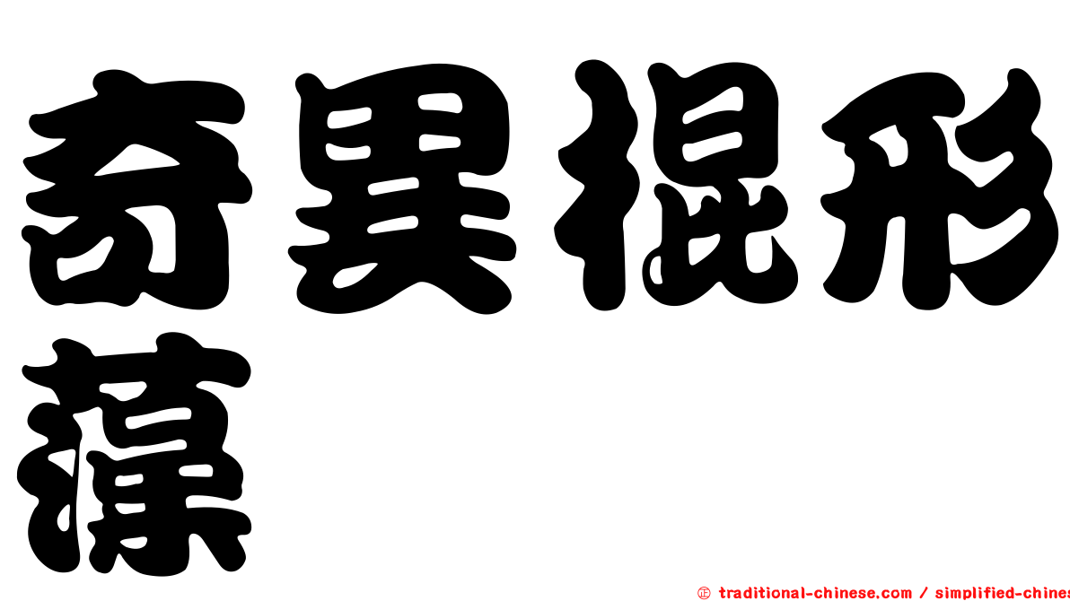 奇異棍形藻