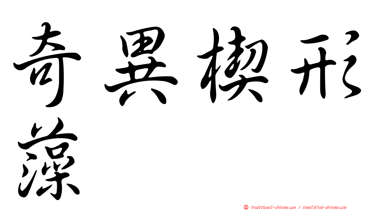 奇異楔形藻
