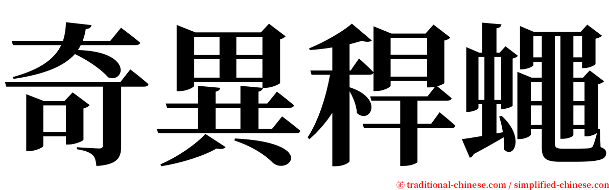 奇異稈蠅 serif font