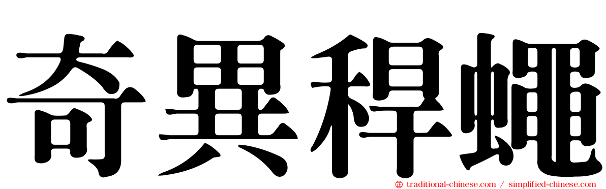 奇異稈蠅