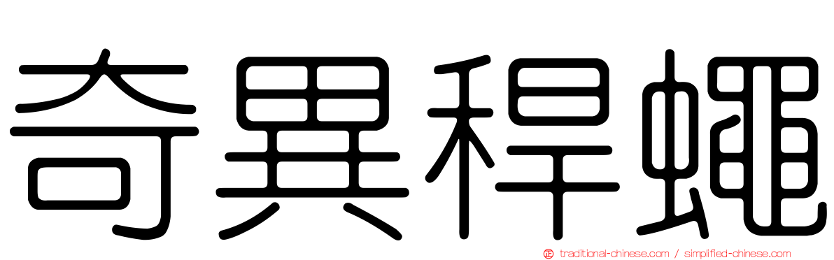 奇異稈蠅