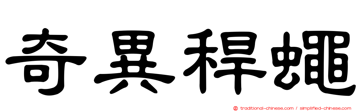 奇異稈蠅