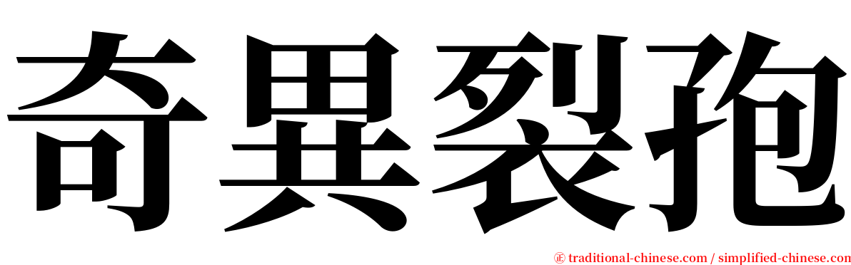奇異裂孢 serif font