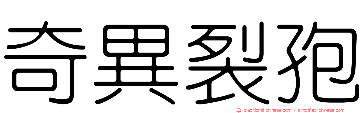 奇異裂孢