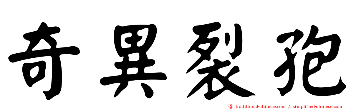 奇異裂孢