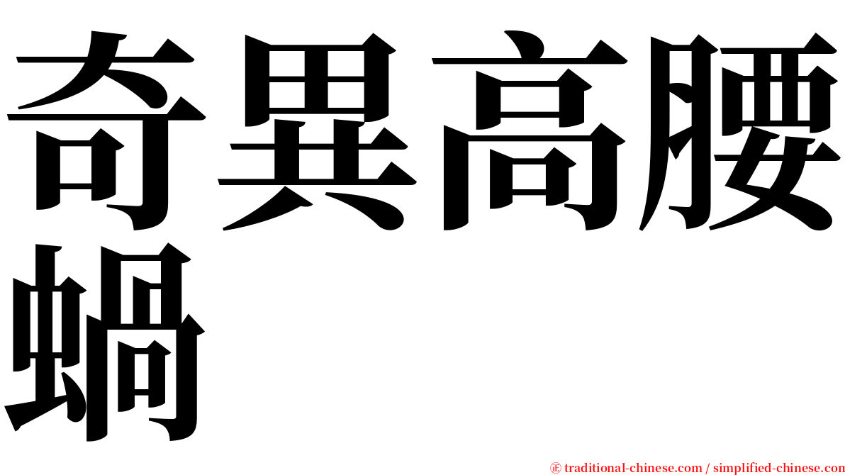 奇異高腰蝸 serif font