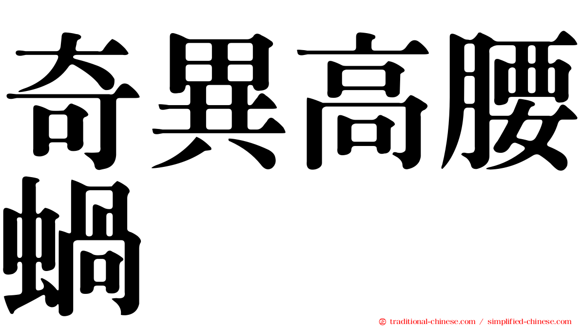 奇異高腰蝸