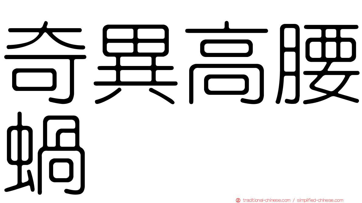 奇異高腰蝸