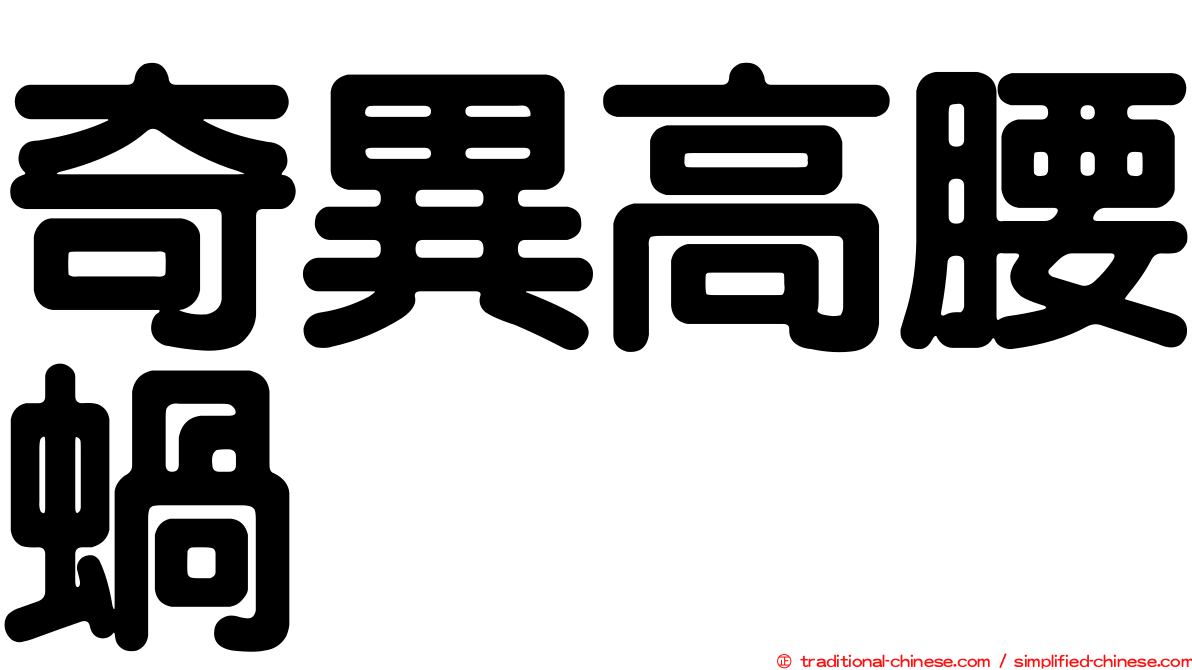 奇異高腰蝸