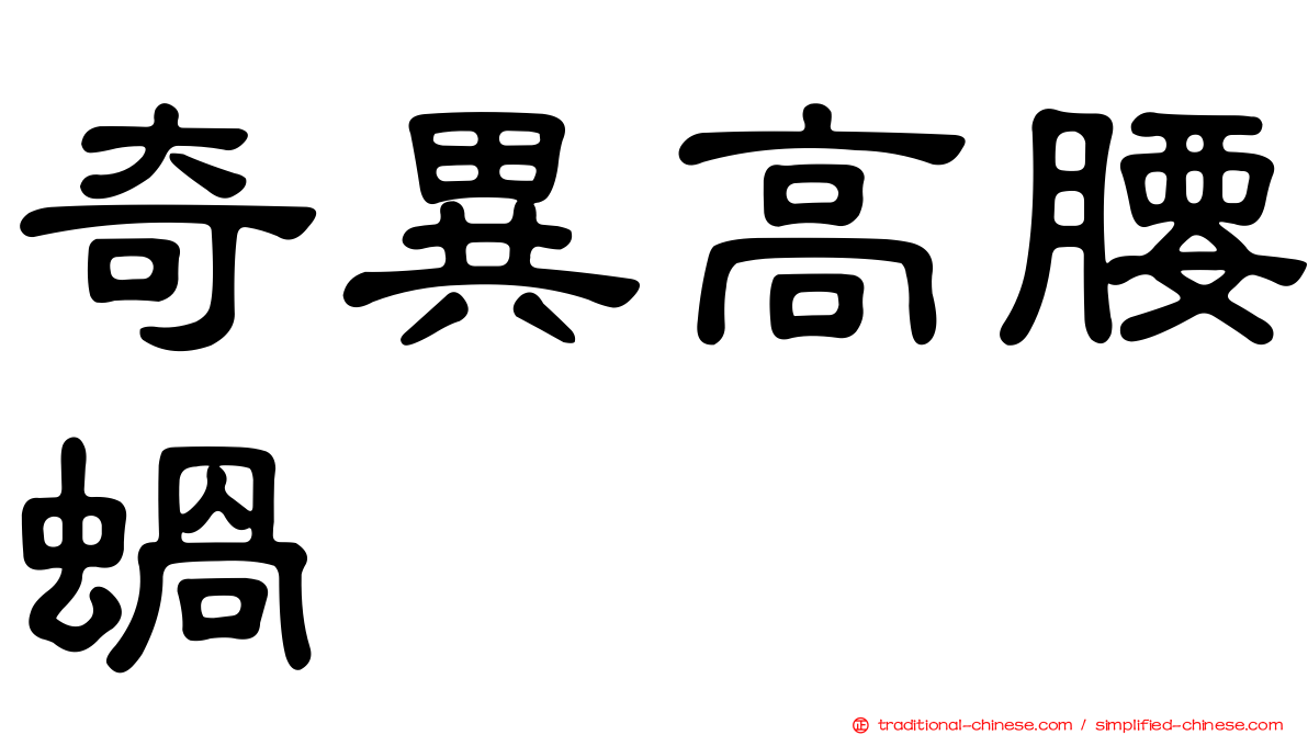 奇異高腰蝸