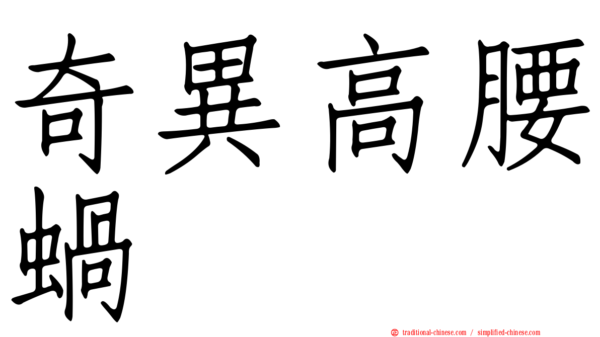 奇異高腰蝸