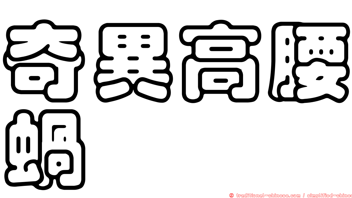奇異高腰蝸