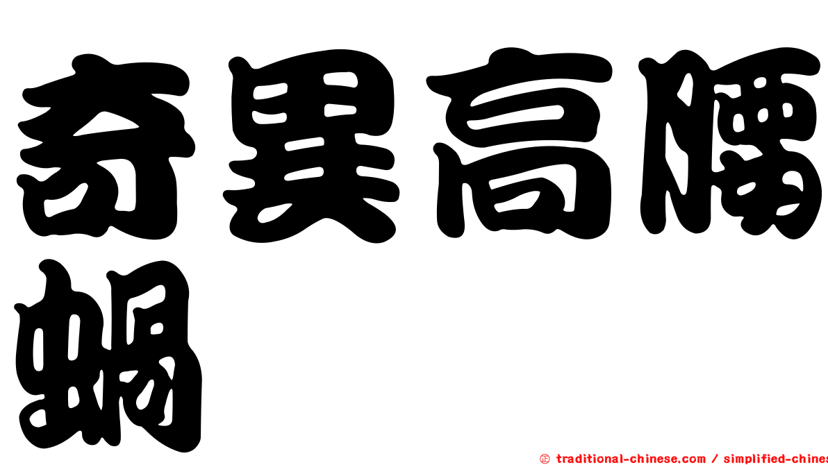 奇異高腰蝸