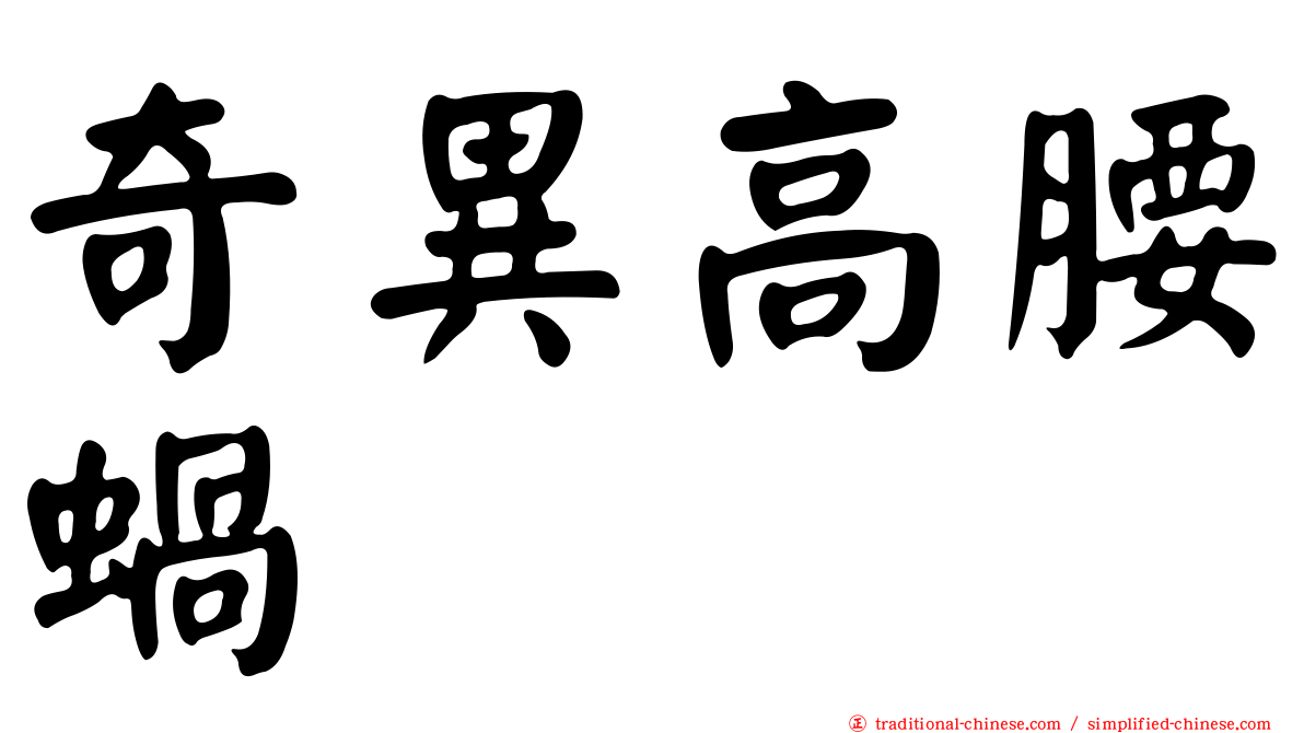 奇異高腰蝸
