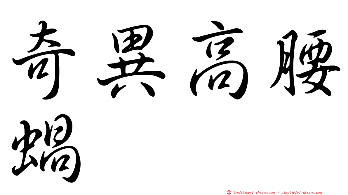 奇異高腰蝸