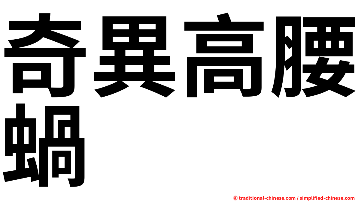 奇異高腰蝸