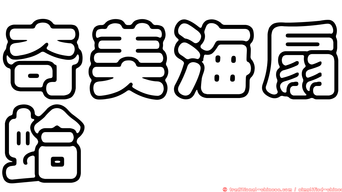奇美海扇蛤