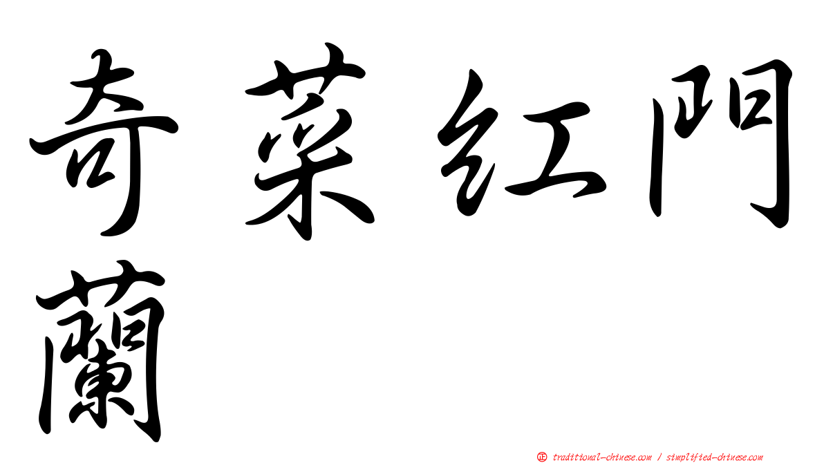 奇菜紅門蘭