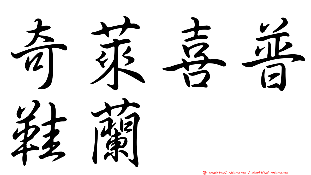 奇萊喜普鞋蘭