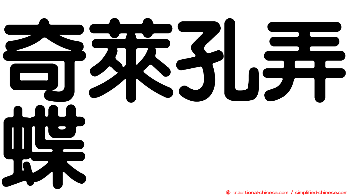 奇萊孔弄蝶