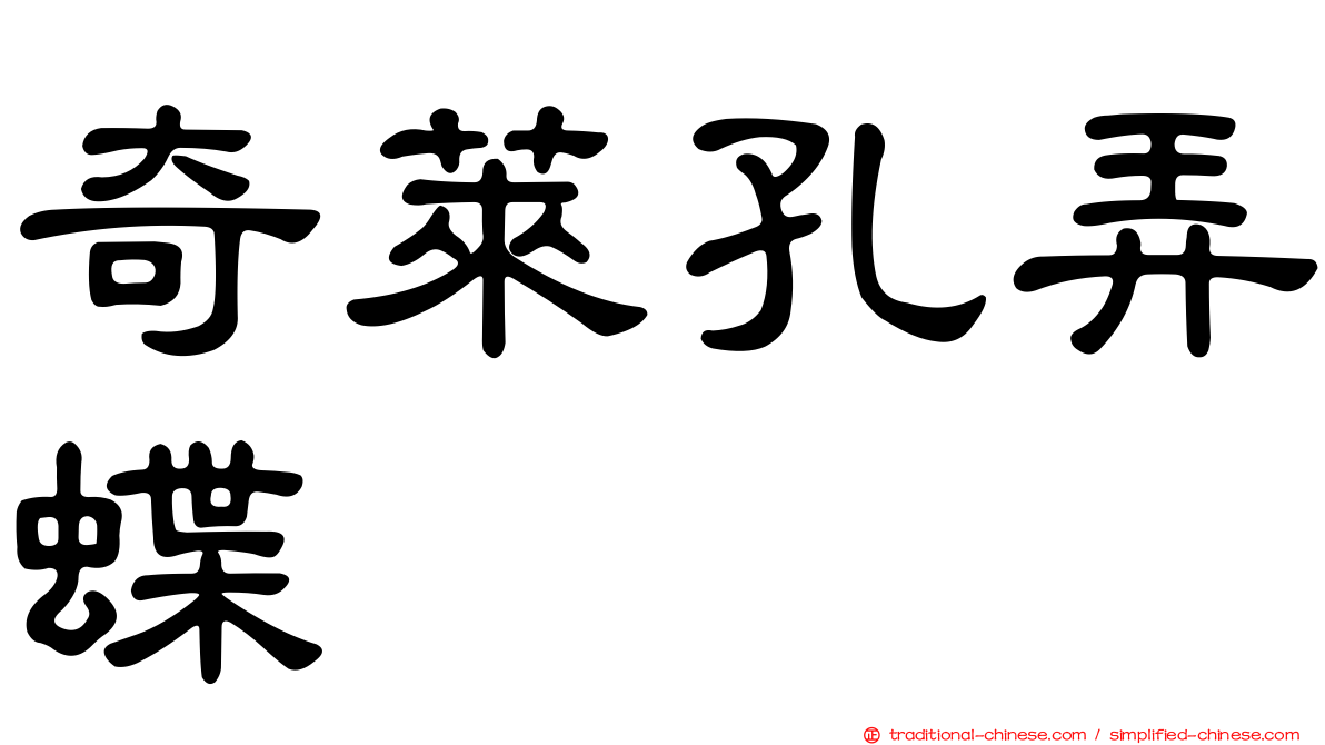 奇萊孔弄蝶