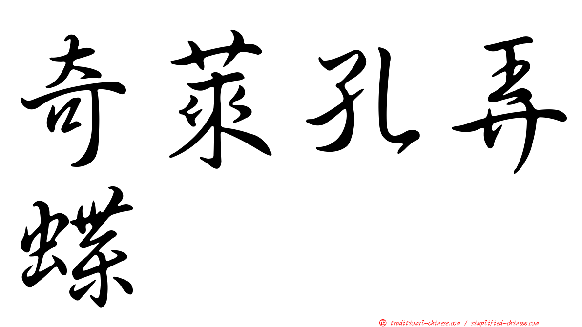 奇萊孔弄蝶