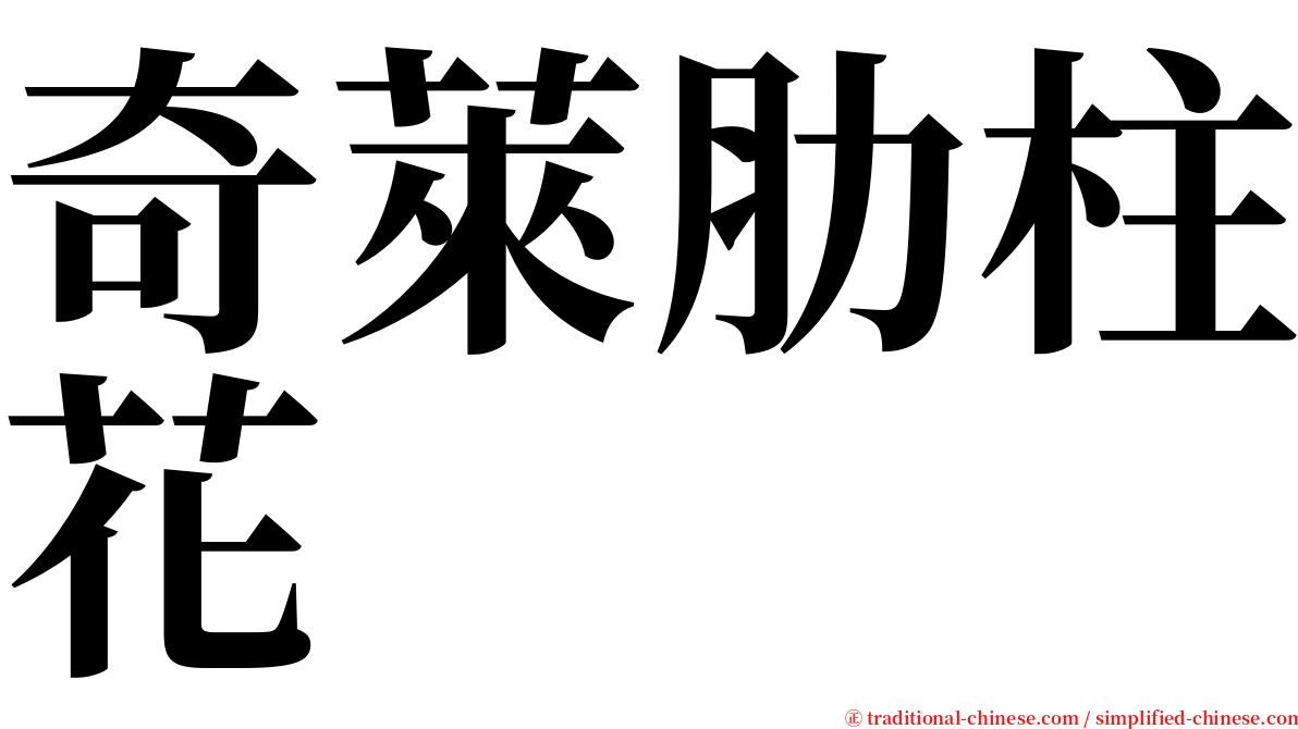 奇萊肋柱花 serif font