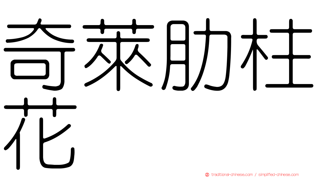 奇萊肋柱花