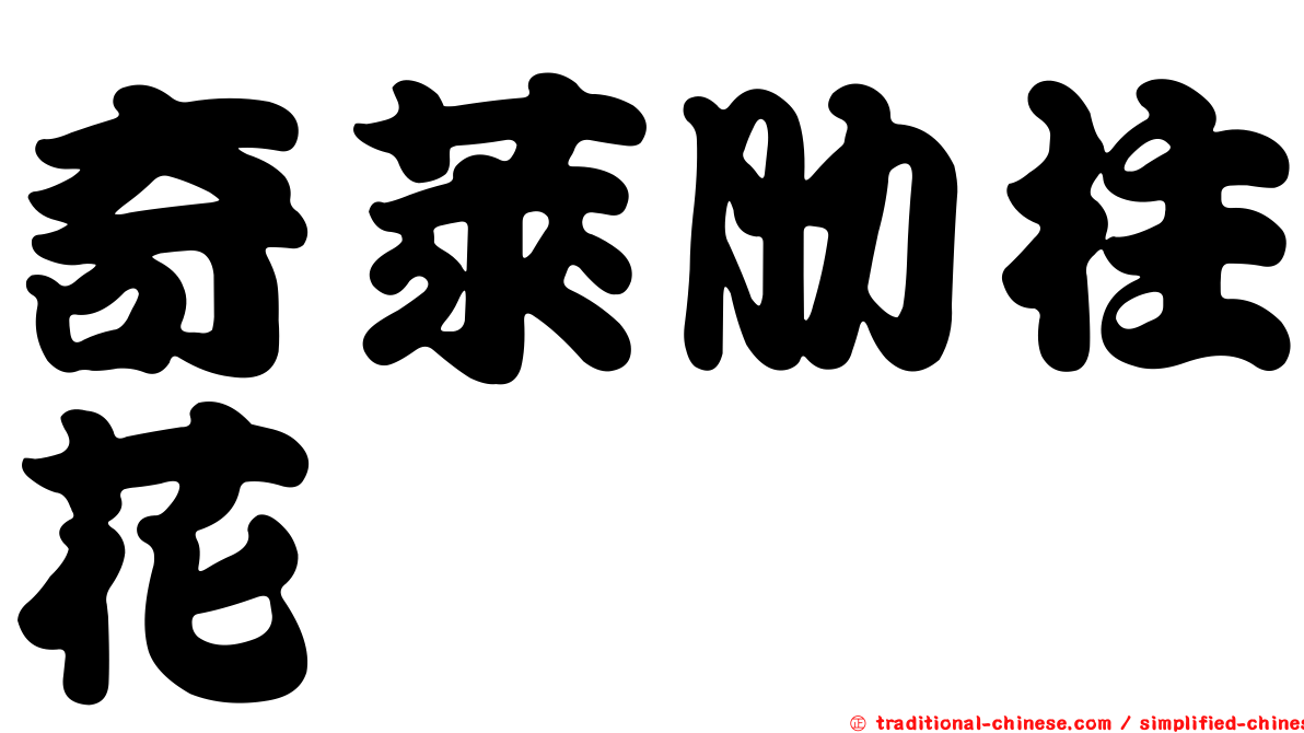 奇萊肋柱花