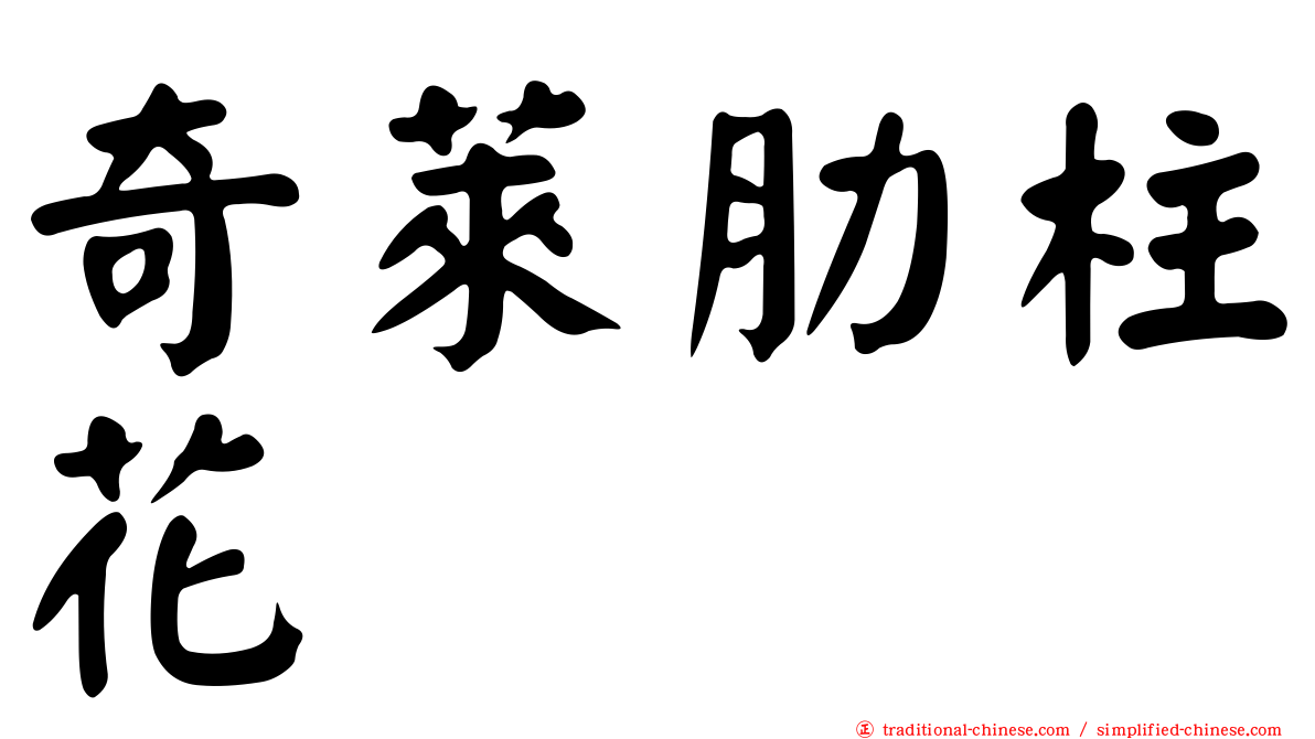 奇萊肋柱花
