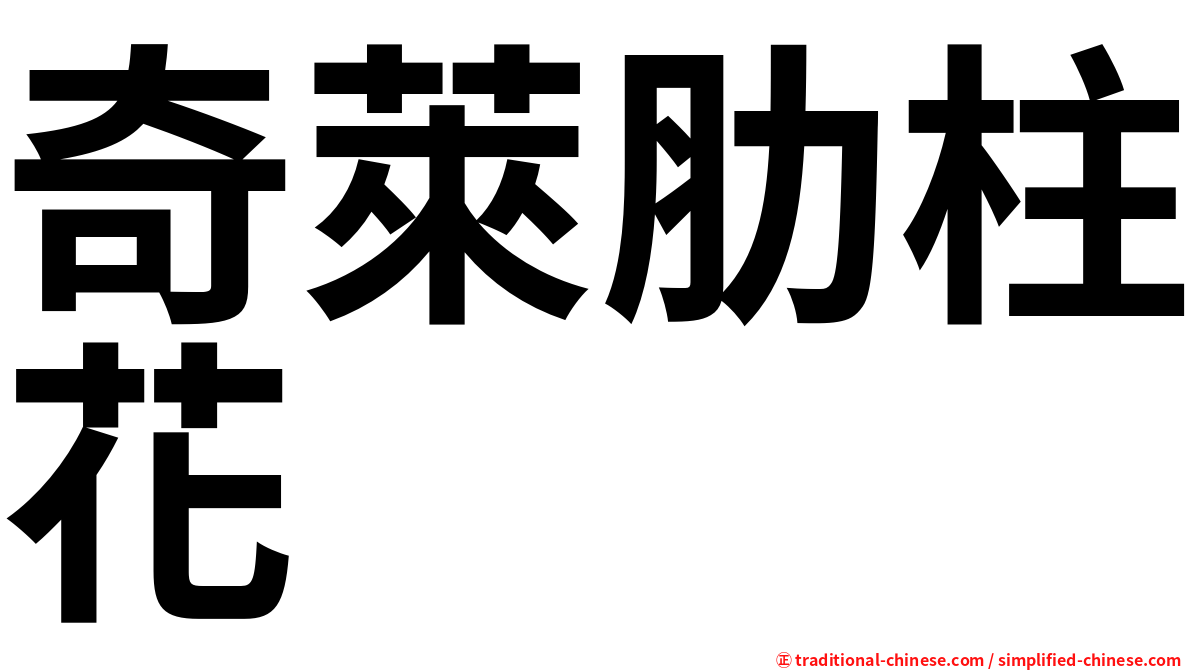 奇萊肋柱花