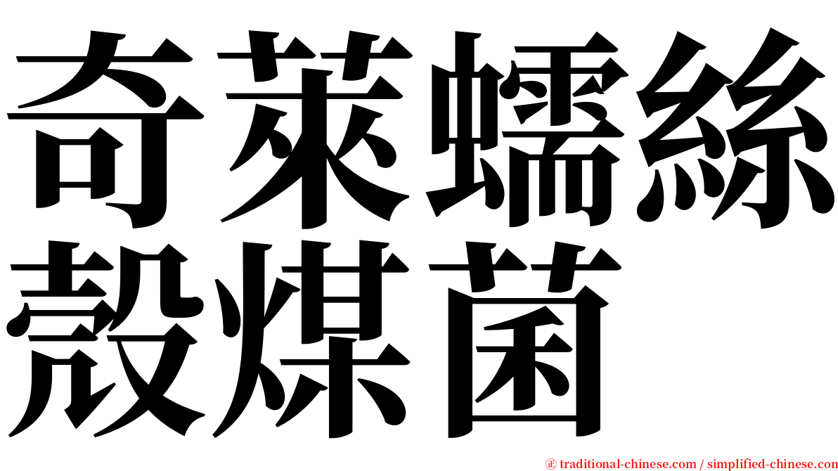 奇萊蠕絲殼煤菌 serif font