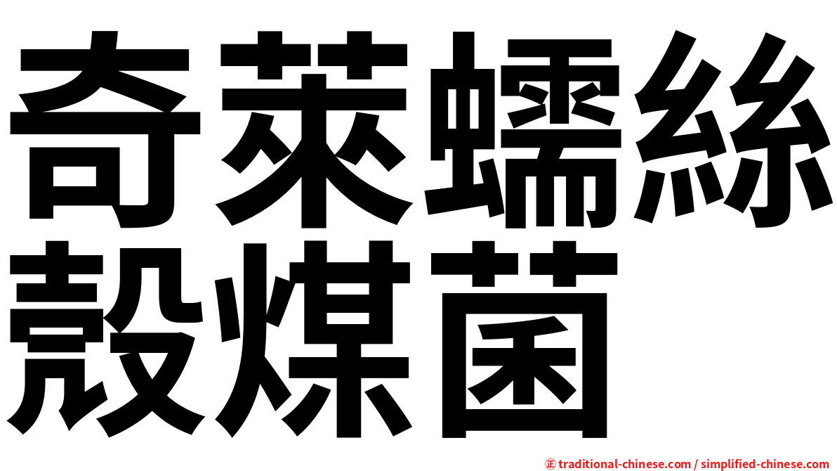 奇萊蠕絲殼煤菌