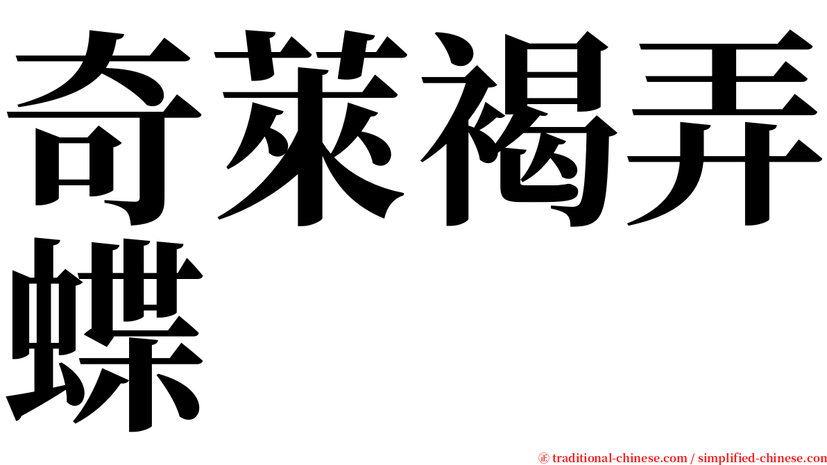 奇萊褐弄蝶 serif font
