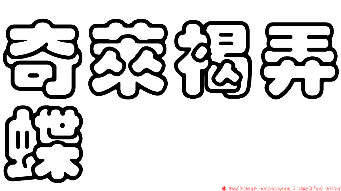奇萊褐弄蝶