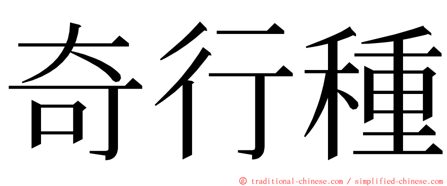 奇行種 ming font