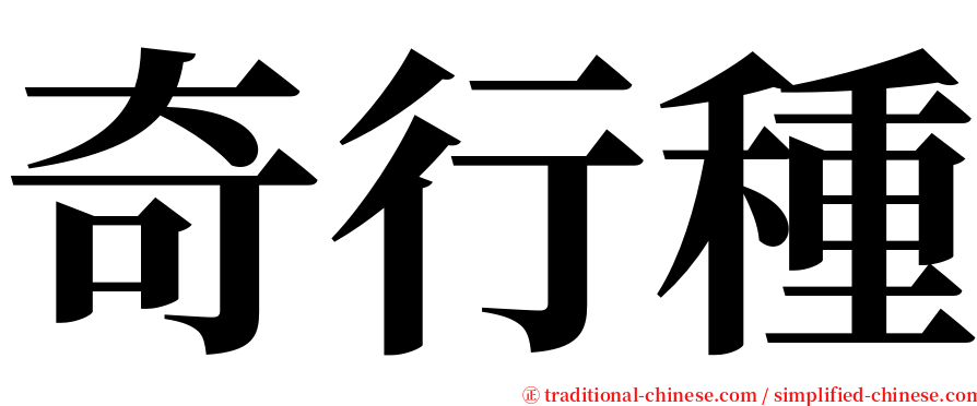 奇行種 serif font