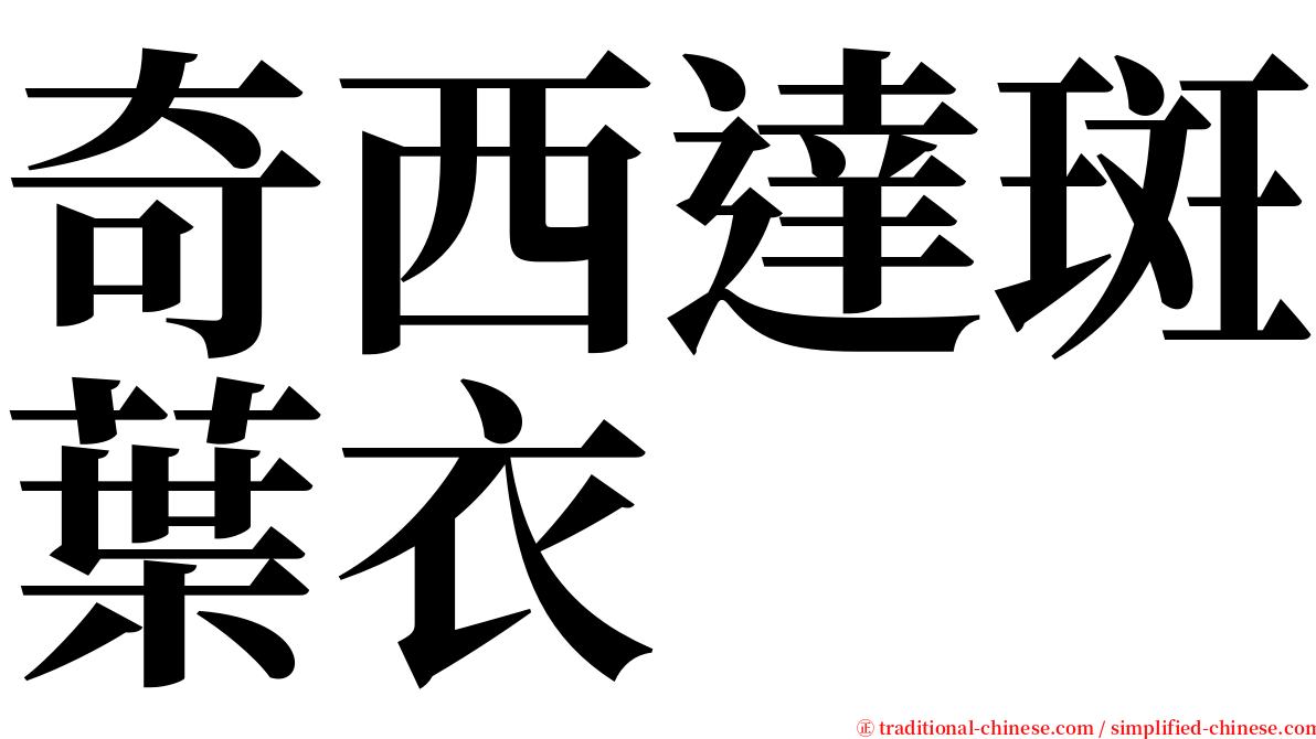 奇西達斑葉衣 serif font