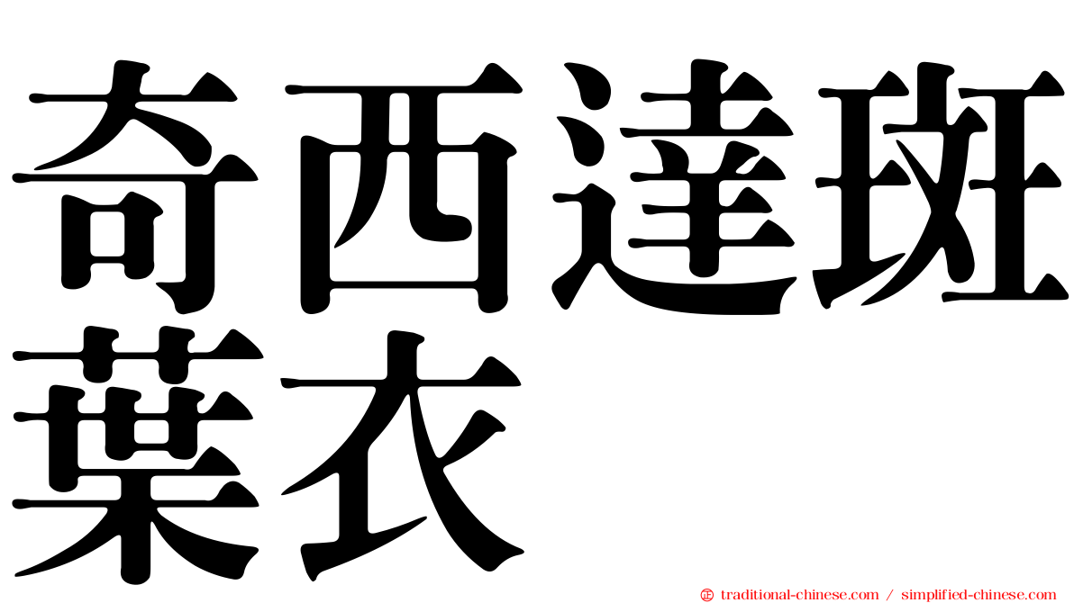 奇西達斑葉衣