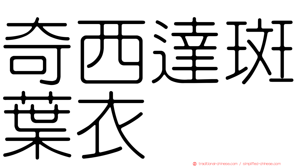 奇西達斑葉衣