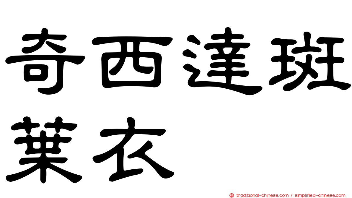 奇西達斑葉衣